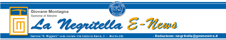 Logo Negritella 760