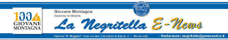 logo-negritella-100-760